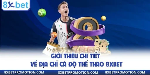 Giới thiệu chi tiết về địa chỉ cá độ thể thao 8XBET