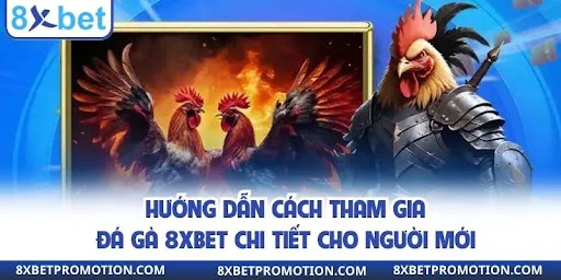 Hướng dẫn cách tham gia đá gà 8xbet chi tiết cho người mới