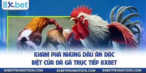 Khám phá những dấu ấn đặc biệt của đá gà trực tiếp 8xbet