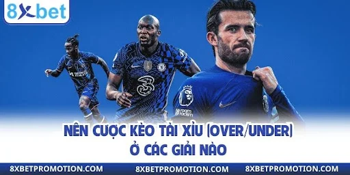 Nên cược kèo tài xỉu ở các giải nào