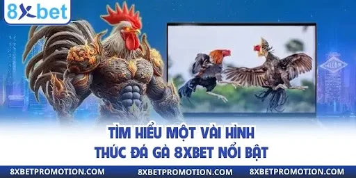 Tìm hiểu một vài hình thức đá gà 8xbet nổi bật