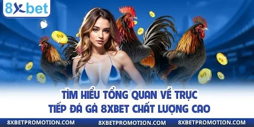 Tìm hiểu tổng quan về trực tiếp đá gà 8xbet chất lượng cao