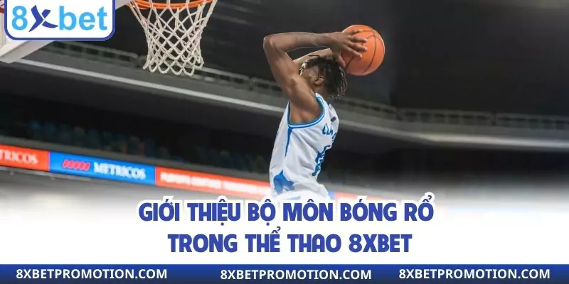 Giới thiệu bộ môn bóng rổ trong thể thao 8xbet