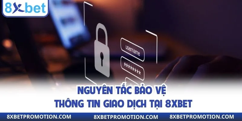 Nguyên tắc bảo vệ thông tin giao dịch tại 8XBET