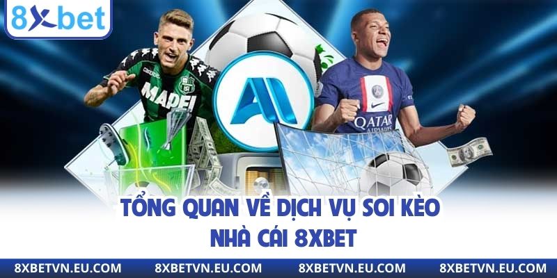 Tổng quan về dịch vụ soi kèo nhà cái 8XBET