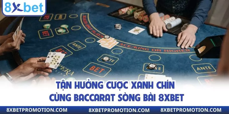 Tận hưởng cược xanh chín cùng baccarat sòng bài 8xbet