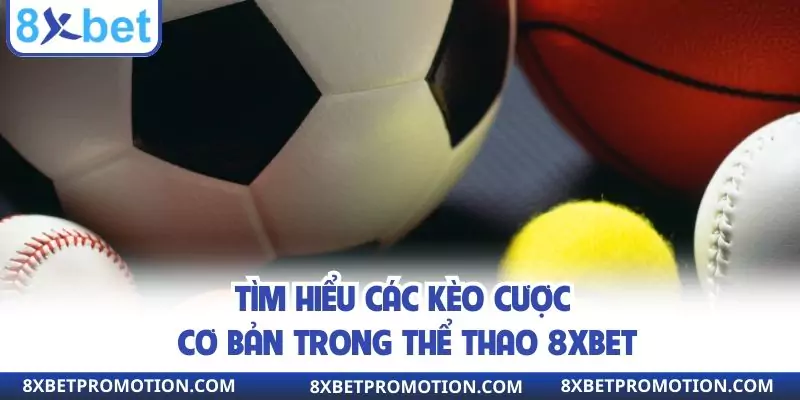 Tìm hiểu các kèo cược cơ bản trong thể thao 8xbet