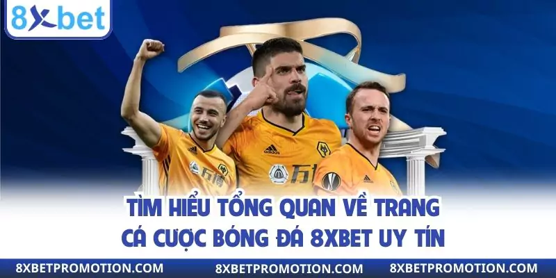 Tìm hiểu tổng quan về trang cá cược bóng đá 8xbet uy tín