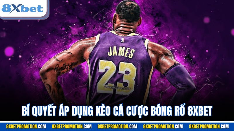Bí quyết áp dụng kèo cá cược bóng rổ 8XBET