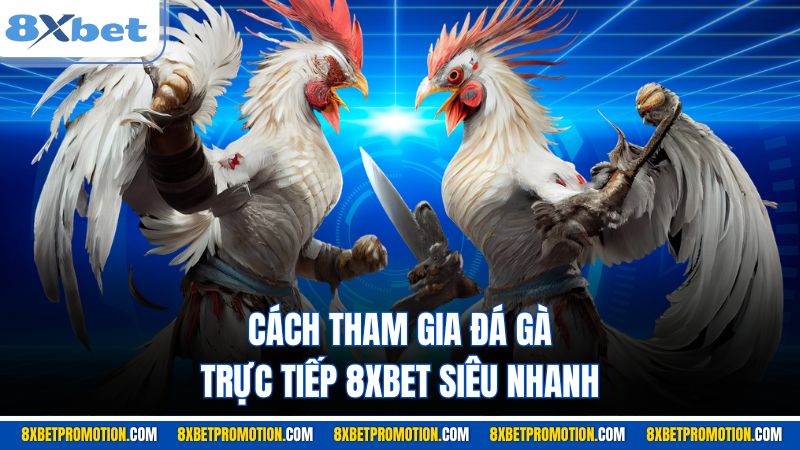 Cách tham gia đá gà trực tiếp 8XBET siêu nhanh