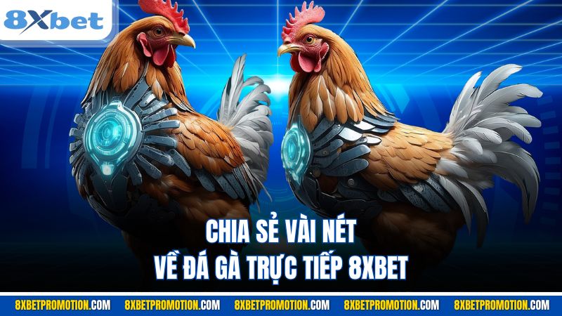 Chia sẻ vài nét về đá gà trực tiếp 8XBET